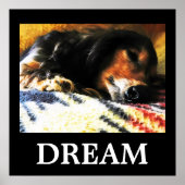 Traum Poster (Vorne)