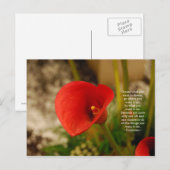 Traum Postkarte (Vorne/Hinten)