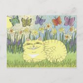 Traum vom Daffodil Tabby Postkarte (Vorderseite)