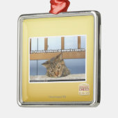 Traum von Käsermeister Silbernes Ornament (Links)