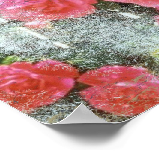 Traum von Rose - Poster (Ecke)