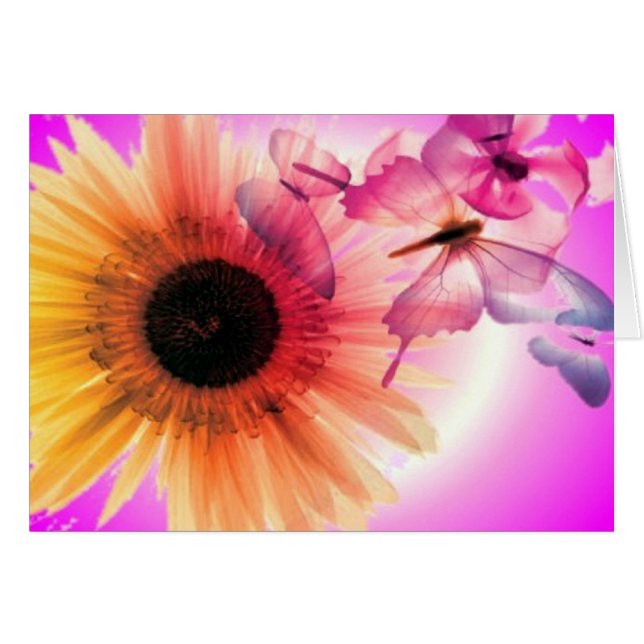 Träume (Vorderseite (Horizontal))