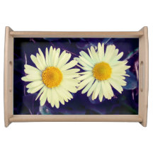 Träume der Gänseblümchen