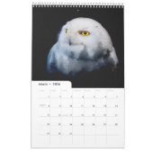 Träume gegen Realität 2023 Kalender (Mär 2026)