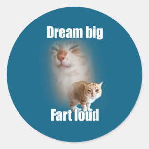 Träume groß, furze laut Katzen-Meme lustiger Spruc Runder Aufkleber