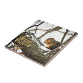 Träume größer als das Leben Eichhörnchen Fliese (Seite)