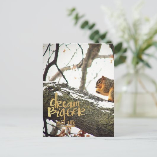 Träume größer als das Leben Eichhörnchen Postkarte (Stehend Vorderseite)