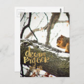 Träume größer als das Leben Eichhörnchen Postkarte (Vorne/Hinten)
