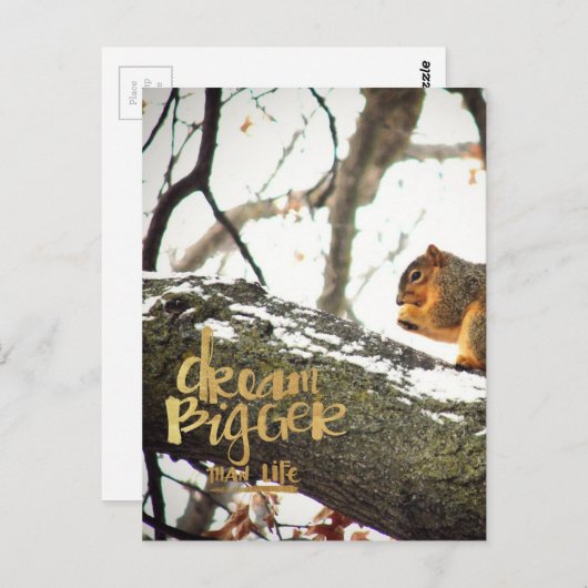 Träume größer als das Leben Eichhörnchen Postkarte (Vorne/Hinten)
