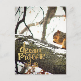 Träume größer als das Leben Eichhörnchen Postkarte