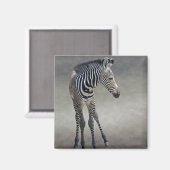 Träume in Schwarz und Weiß Magnet (Vorderseite/Rückseite)