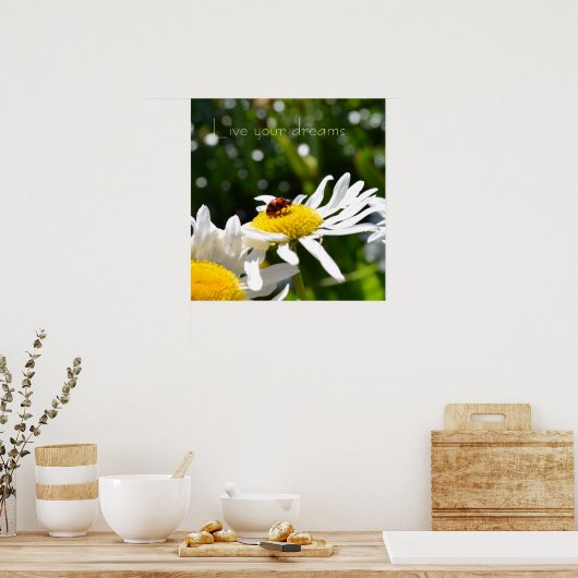 Träume Ladybug und Daisy Poster (Küche)