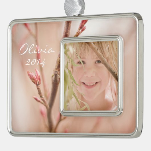 Träume vom Frühling Rahmen-Ornament Silber (Links)