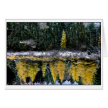 Träume von einem jungen Tamarack