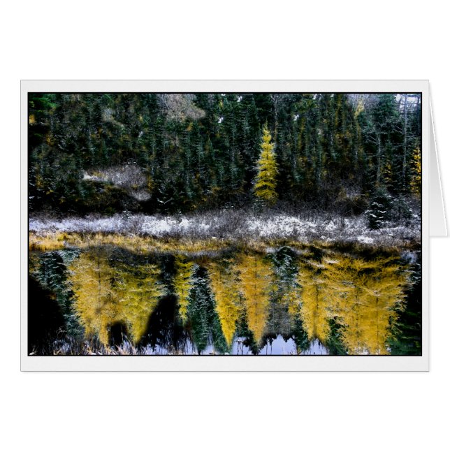 Träume von einem jungen Tamarack (Vorderseite (Horizontal))