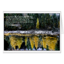 Träume von einem jungen Tamarack