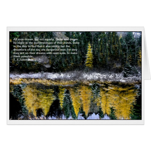 Träume von einem jungen Tamarack (Vorderseite (Horizontal))