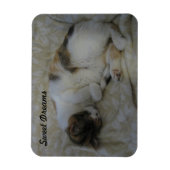 Träume von Katzen und Süßen Magnet (Vertikal)