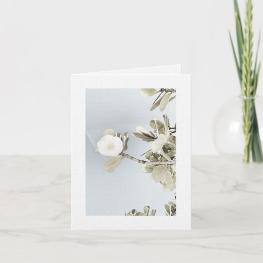 Träume von Puerto Rico Dankeskarte (Vorderseite)