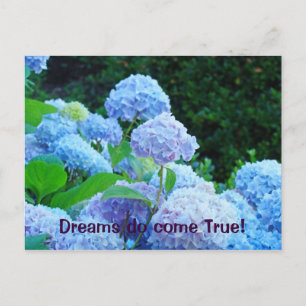 Träume werden wahr! Postkarten Blaue Hortensie