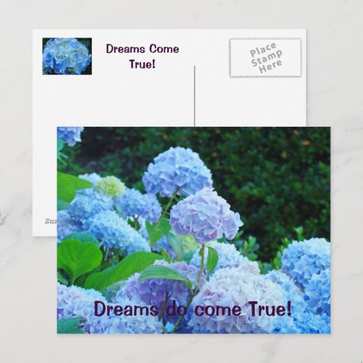 Träume werden wahr! Postkarten Blue Hydrangea (Vorne/Hinten)