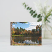 Träumen auf der Dock Postcard Postkarte (Stehend Vorderseite)