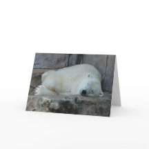 Träumen der Eisberge