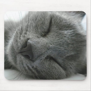 Träumen der Miezekatze Mousepad