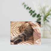 Träumen des veldt postkarte (Stehend Vorderseite)