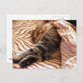 Träumen des veldt postkarte (Vorne/Hinten)