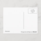 Träumen eines rosa Sterns Postkarte (Rückseite)