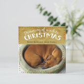 Träumen eines weißen Weihnachten (Stehend Vorderseite)