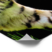 träumen sie glauben, sie zu erreichen Motivation Poster (Ecke)