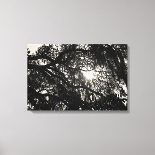 Träumen unter dem Eichenbaum umhüllte Leinwand
