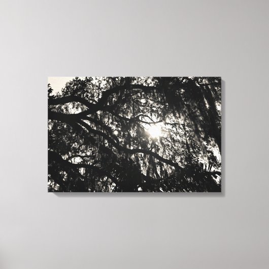 Träumen unter der Eiche umwickelte Leinwand (Vorderseite)
