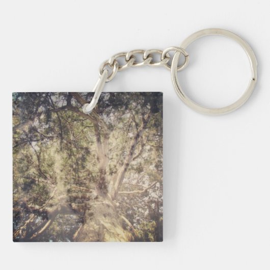 Träumen von Bäumen Schlüsselanhänger (Rückseite)