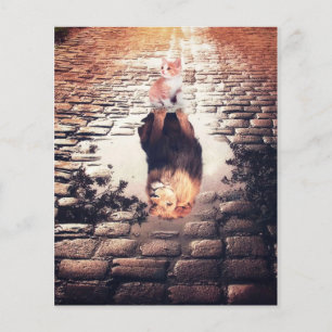 Träumen von Cat Lion, lustiges Katzen Geschenk Flyer