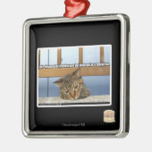 Träumen von Cheesburgers Silbernes Ornament (Links)