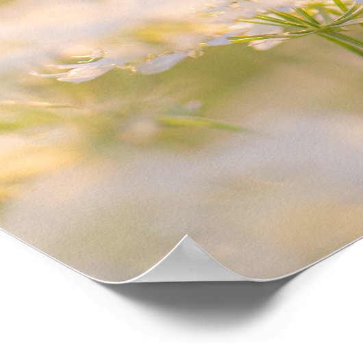 Träumen von den Blume Poster (Ecke)