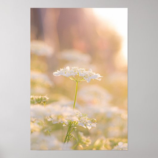 Träumen von den Blume Poster (Vorne)