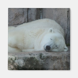 Träumen von Icebergs Magnet