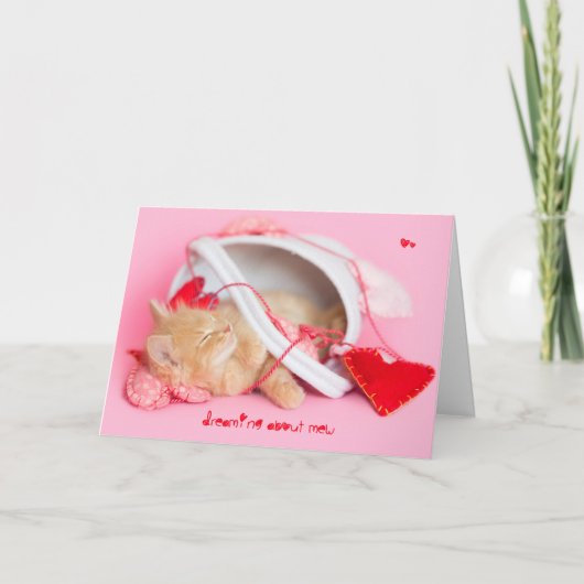 Träumen von meinem Kätzchen Feiertagskarte (Vorderseite)