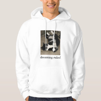 Träumen von Regeln! Hoodie