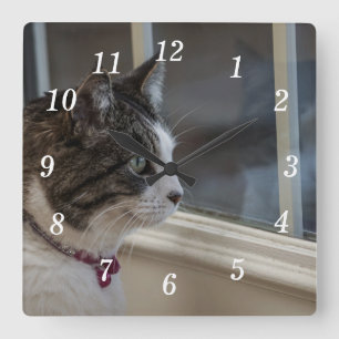 Träumen von wärmerem Wetter, um draußen zu gehen Quadratische Wanduhr