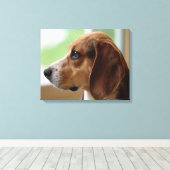 Träumender Beagle Leinwanddruck (Insitu (Holzboden))