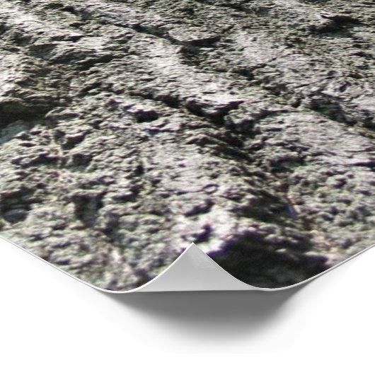 Träumerei Poster (Ecke)