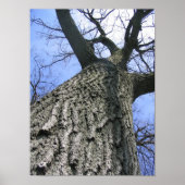 Träumerei Poster (Vorne)