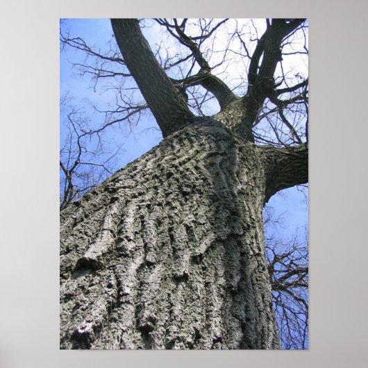 Träumerei Poster (Vorne)