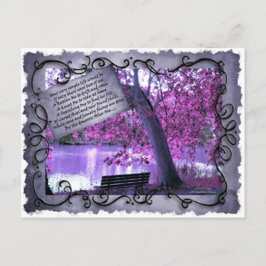 Träumerei Postkarte (Vorderseite)