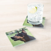Träumerische Dobermannpinscher-Gesichts-Malerei Glasuntersetzer (Schrägansicht)